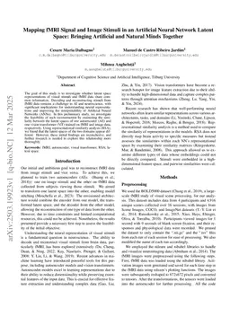 Mapping fMRI Signal and Image Stimuli in an Artificial Neural Network Latent Space: Bringing Artificial and Natural Minds Together