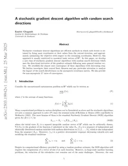 A stochastic gradient descent algorithm with random search directions
