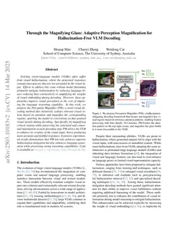 Through the Magnifying Glass: Adaptive Perception Magnification for Hallucination-Free VLM Decoding
