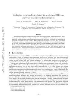 Evaluating structural uncertainty in accelerated MRI: are voxelwise measures useful surrogates?