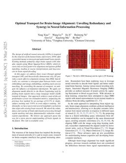 Optimal Transport for Brain-Image Alignment: Unveiling Redundancy and Synergy in Neural Information Processing