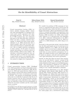 On the Identifiability of Causal Abstractions