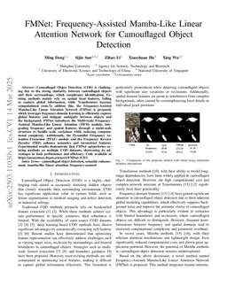 FMNet: Frequency-Assisted Mamba-Like Linear Attention Network for Camouflaged Object Detection