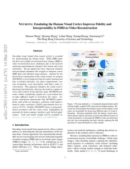 Neurons: Emulating the Human Visual Cortex Improves Fidelity and Interpretability in fMRI-to-Video Reconstruction