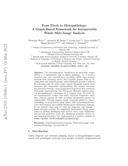 A Graph-Based Framework for Interpretable Whole Slide Image Analysis