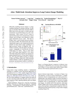 Atlas: Multi-Scale Attention Improves Long Context Image Modeling