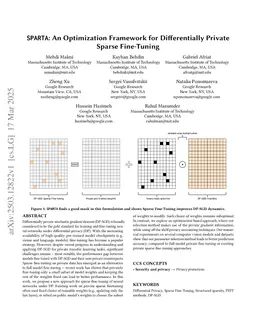 An Optimization Framework for Differentially Private Sparse Fine-Tuning