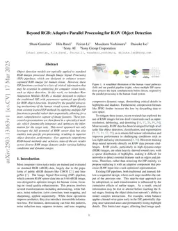 Beyond RGB: Adaptive Parallel Processing for RAW Object Detection
