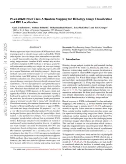 PixelCAM: Pixel Class Activation Mapping for Histology Image Classification and ROI Localization