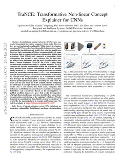 TraNCE: Transformative Non-linear Concept Explainer for CNNs