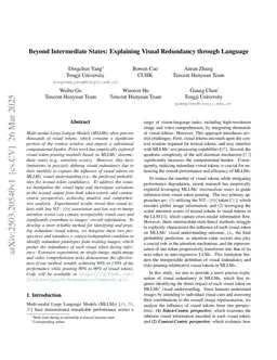 Beyond Intermediate States: Explaining Visual Redundancy through Language