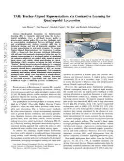 TAR: Teacher-Aligned Representations via Contrastive Learning for Quadrupedal Locomotion