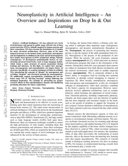 Neuroplasticity in Artificial Intelligence -- An Overview and Inspirations on Drop In & Out Learning