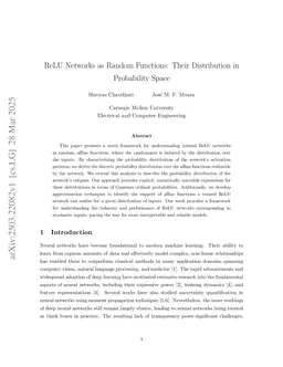 ReLU Networks as Random Functions: Their Distribution in Probability Space