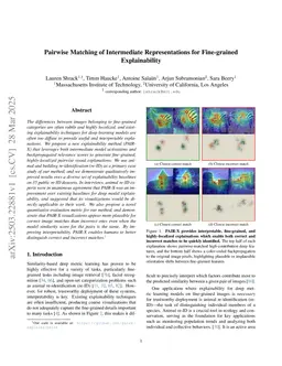 Pairwise Matching of Intermediate Representations for Fine-grained Explainability