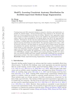 MedCL: Learning Consistent Anatomy Distribution for Scribble-supervised Medical Image Segmentation