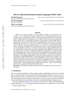 How to safely discard features based on aggregate SHAP values