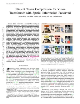 Efficient Token Compression for Vision Transformer with Spatial Information Preserved