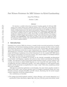Fast Witness Persistence for MRI Volumes via Hybrid Landmarking