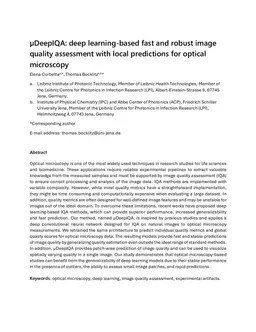 Global-to-local image quality assessment in optical microscopy via fast and robust deep learning predictions