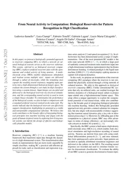 From Neural Activity to Computation: Biological Reservoirs for Pattern Recognition in Digit Classification