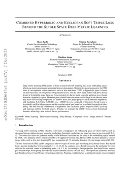 Combined Hyperbolic and Euclidean Soft Triple Loss Beyond the Single Space Deep Metric Learning
