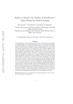Shaken or Stirred? An Analysis of MetaFormer's Token Mixing for Medical Imaging