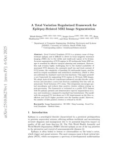 A Total Variation Regularized Framework for Epilepsy-Related MRI Image Segmentation