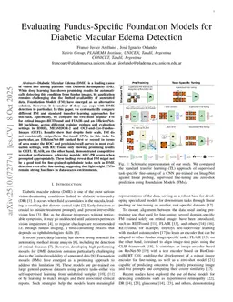 Evaluating Fundus-Specific Foundation Models for Diabetic Macular Edema Detection