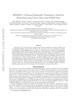 HEMERA: A Human-Explainable Transformer Model for Estimating Lung Cancer Risk using GWAS Data