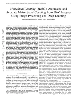 MaizeStandCounting (MaSC): Automated and Accurate Maize Stand Counting from UAV Imagery Using Image Processing and Deep Learning