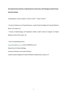 Decoding Positive Selection in Mycobacterium tuberculosis with Phylogeny-Guided Graph Attention Models