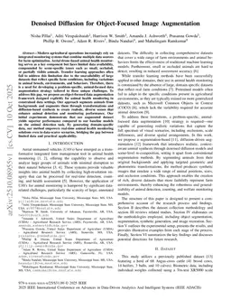 Denoised Diffusion for Object-Focused Image Augmentation
