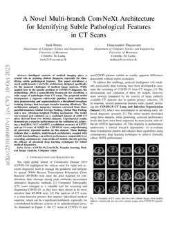 A Novel Multi-branch ConvNeXt Architecture for Identifying Subtle Pathological Features in CT Scans