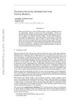 Training Feature Attribution for Vision Models