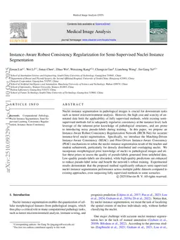 Instance-Aware Robust Consistency Regularization for Semi-Supervised Nuclei Instance Segmentation