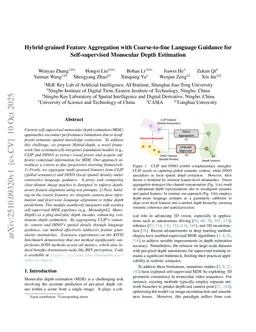 Hybrid-grained Feature Aggregation with Coarse-to-fine Language Guidance for Self-supervised Monocular Depth Estimation