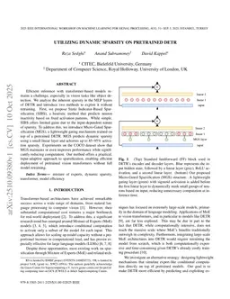 Utilizing dynamic sparsity on pretrained DETR