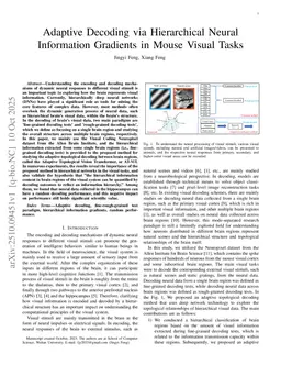 Adaptive Decoding via Hierarchical Neural Information Gradients in Mouse Visual Tasks