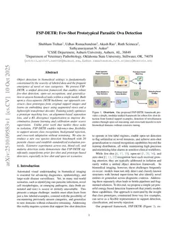 FSP-DETR: Few-Shot Prototypical Parasitic Ova Detection