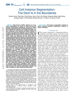 Cell Instance Segmentation: The Devil Is in the Boundaries