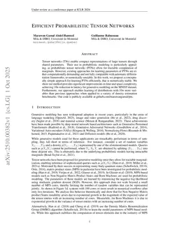 Efficient Probabilistic Tensor Networks