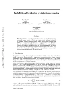 Probability calibration for precipitation nowcasting