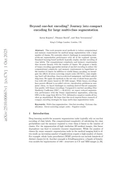 Beyond one-hot encoding? Journey into compact encoding for large multi-class segmentation