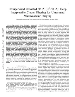 Unsupervised Unfolded rPCA (U2-rPCA): Deep Interpretable Clutter Filtering for Ultrasound Microvascular Imaging