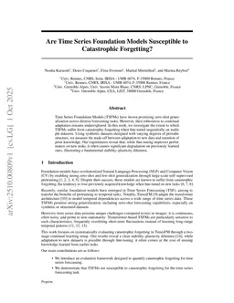Are Time Series Foundation Models Susceptible to Catastrophic Forgetting?