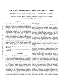 Feature Identification for Hierarchical Contrastive Learning
