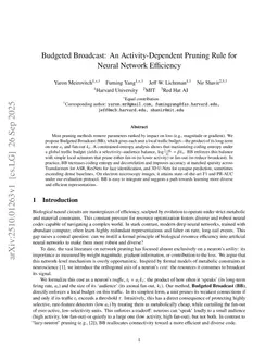 Budgeted Broadcast: An Activity-Dependent Pruning Rule for Neural Network Efficiency