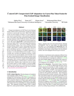 microCLIP: Unsupervised CLIP Adaptation via Coarse-Fine Token Fusion for Fine-Grained Image Classification