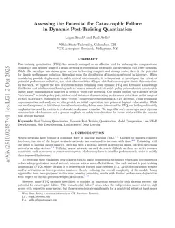 Assessing the Potential for Catastrophic Failure in Dynamic Post-Training Quantization